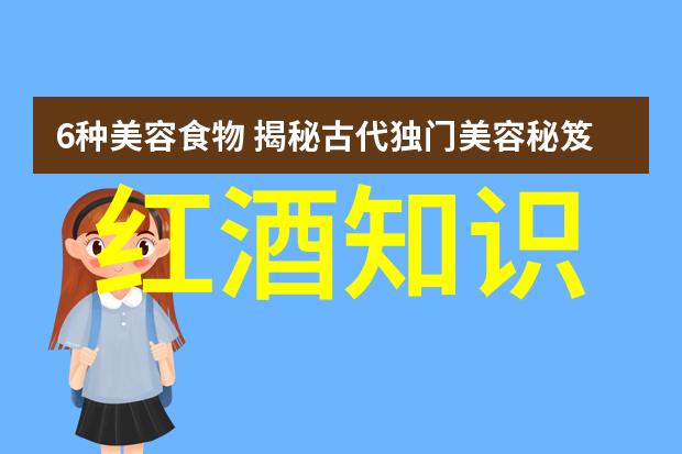 历史视频回放揭秘往昔的珍贵瞬间