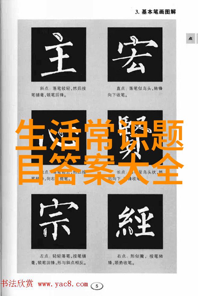 猫儿的秘密名册揭开那些神秘名字背后的故事