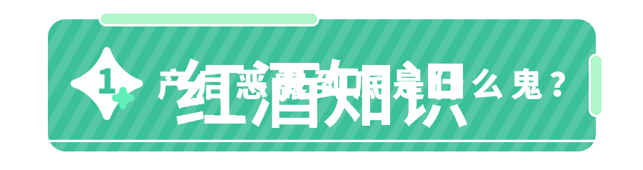 你问我咱们聊聊哪个网站好用