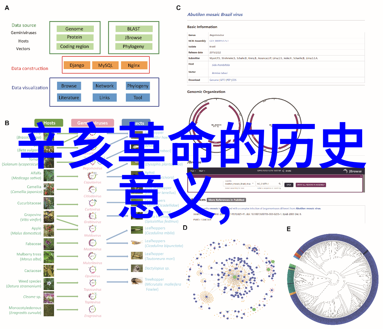 赤酿秘境探索Protero的红酒传奇