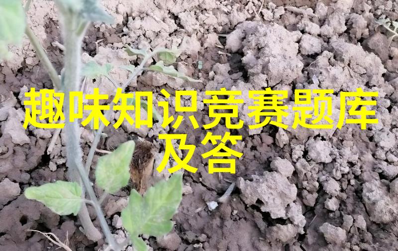 仙粉黛长期以来一直是最受欢迎的玫瑰花品种之一它就像一位永恒的舞台女王每当春天来临她便以其独特的魅力重