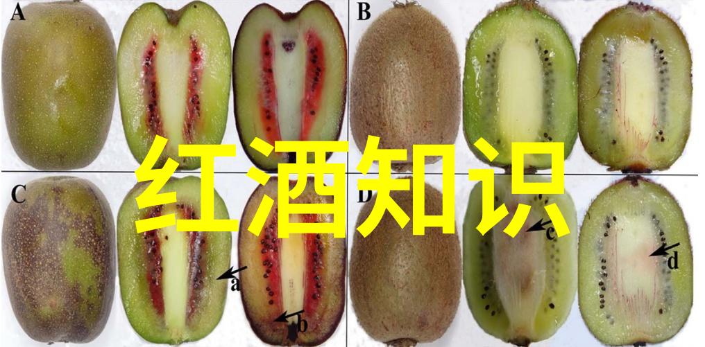 北京周边城市旅游攻略探索华北古都的魅力