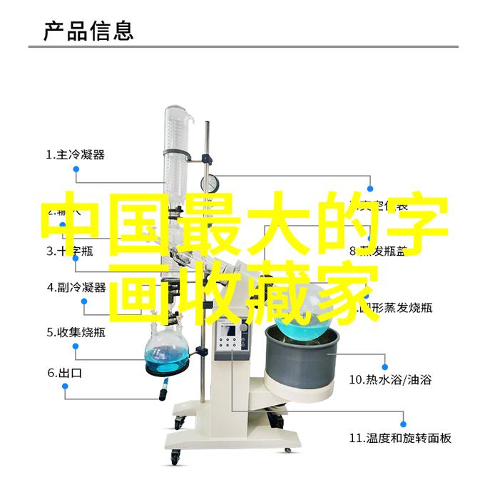 猫的多样品种世界探索不同文明的宠物美学