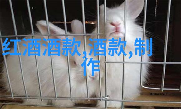 颜色世界展现各种颜色的长毛短毛猫咪图集