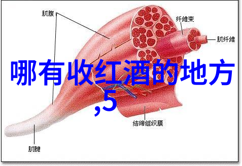 全国钱币收藏博览会之于Corleones Ristorante的Groth葡萄酒晚宴而言正如一位慈祥