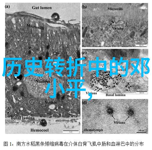 蚀骨沉沦古典文学中的悲剧情节