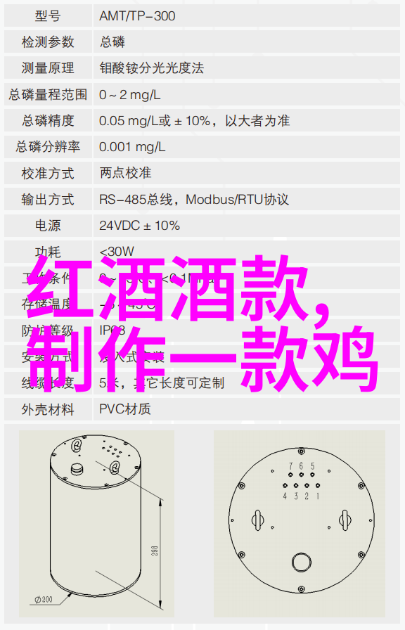 岁月的见证历史记录与往昔的回声