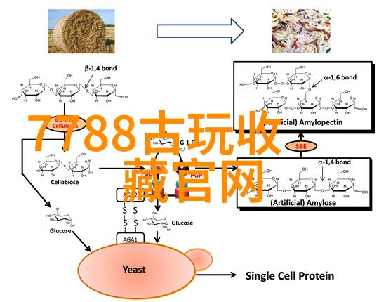 独特的毛发揭秘那些拥有特别纹理的猫品种