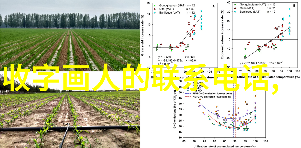 名人简介我是如何从街头小贩到影帝的