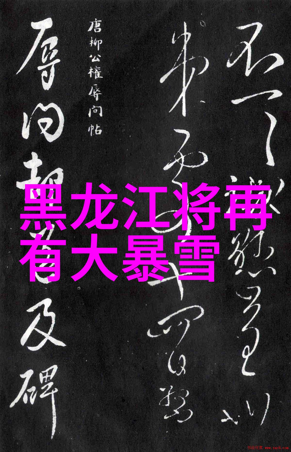 上海周边游推荐两日游品味生蚝佳酿探索五款葡萄酒的完美搭档