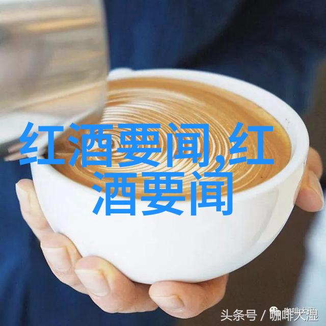 红酒文化的醇香与哲学探索终极定义