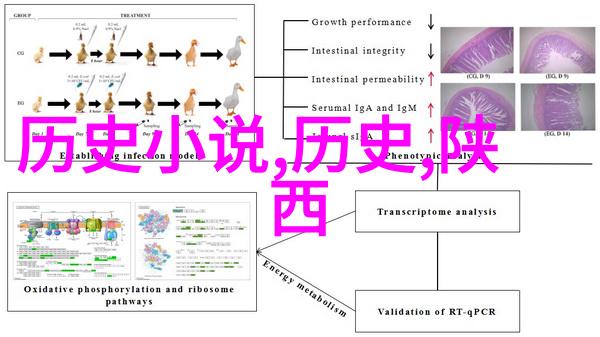 在美国加利福尼亚州中部海岸的最南端圣巴巴拉县地形呈矩形正是葡萄酒的八大产区所在那里又怎能不流淌着丰富