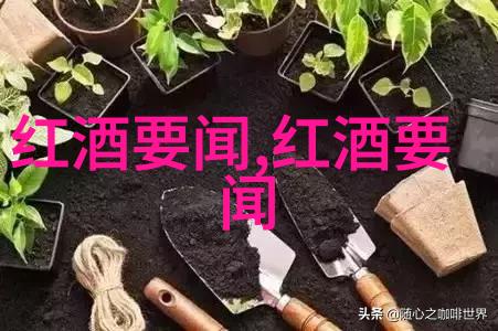 在世界葡萄酒生产国中DO Montsant的透明度再次凸显其卓越之处