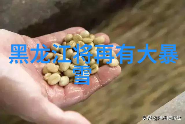 黑龙江粮食主产区分布探索省内粮食丰富地区的秘密