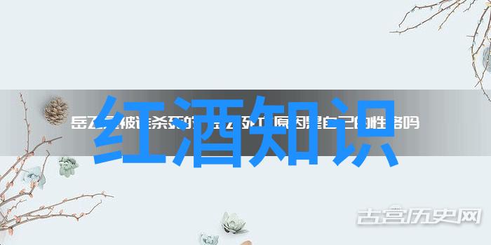 解密知識之门提供全面的答案支持助您闯关成功