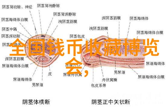 艺术-100种可爱简笔画 人物笑容满面的绘画世界