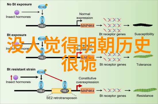 如何规划一次既满足户外活动又不失城市休闲体验的心理健康之旅