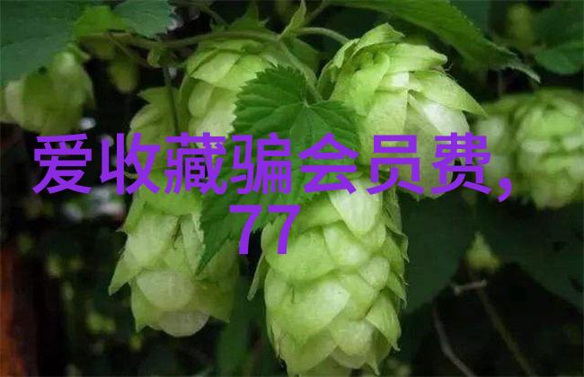 醇酿精选探索好干红葡萄酒的品质标准