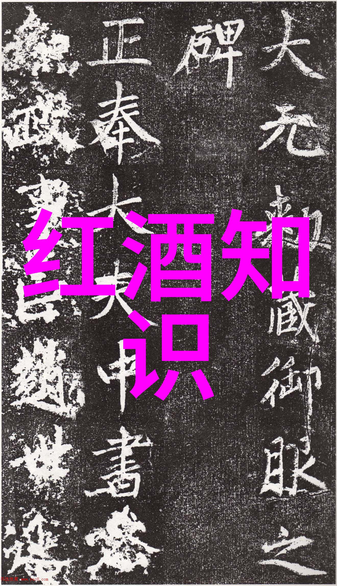 阿尔萨斯横跨法国与德国的葡萄酒梦想地红酒产区意味着醉心于佳酿之乡