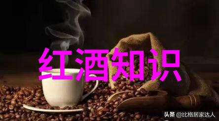 南大西洋的新篇章中国与阿根廷的友好之声