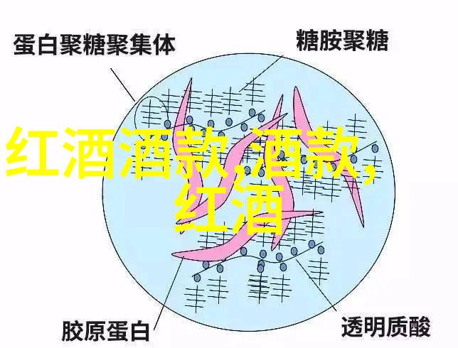 猫品种大全了解各种猫咪的特点与图片