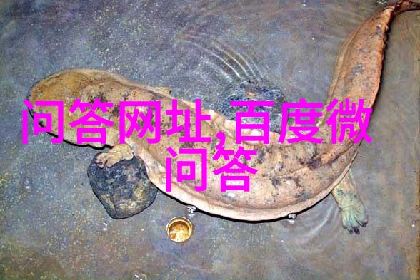 4399梦幻庄园我在4399梦幻庄园里建造了个什么样子的奇妙世界