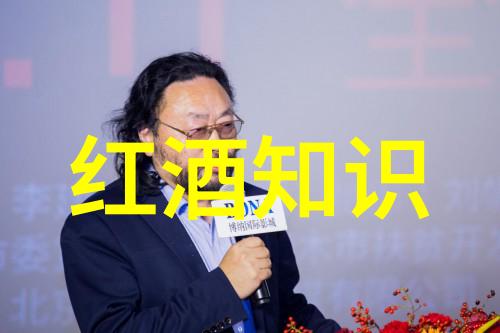 欧洲古堡巡礼探索中世纪城堡的历史与魅力