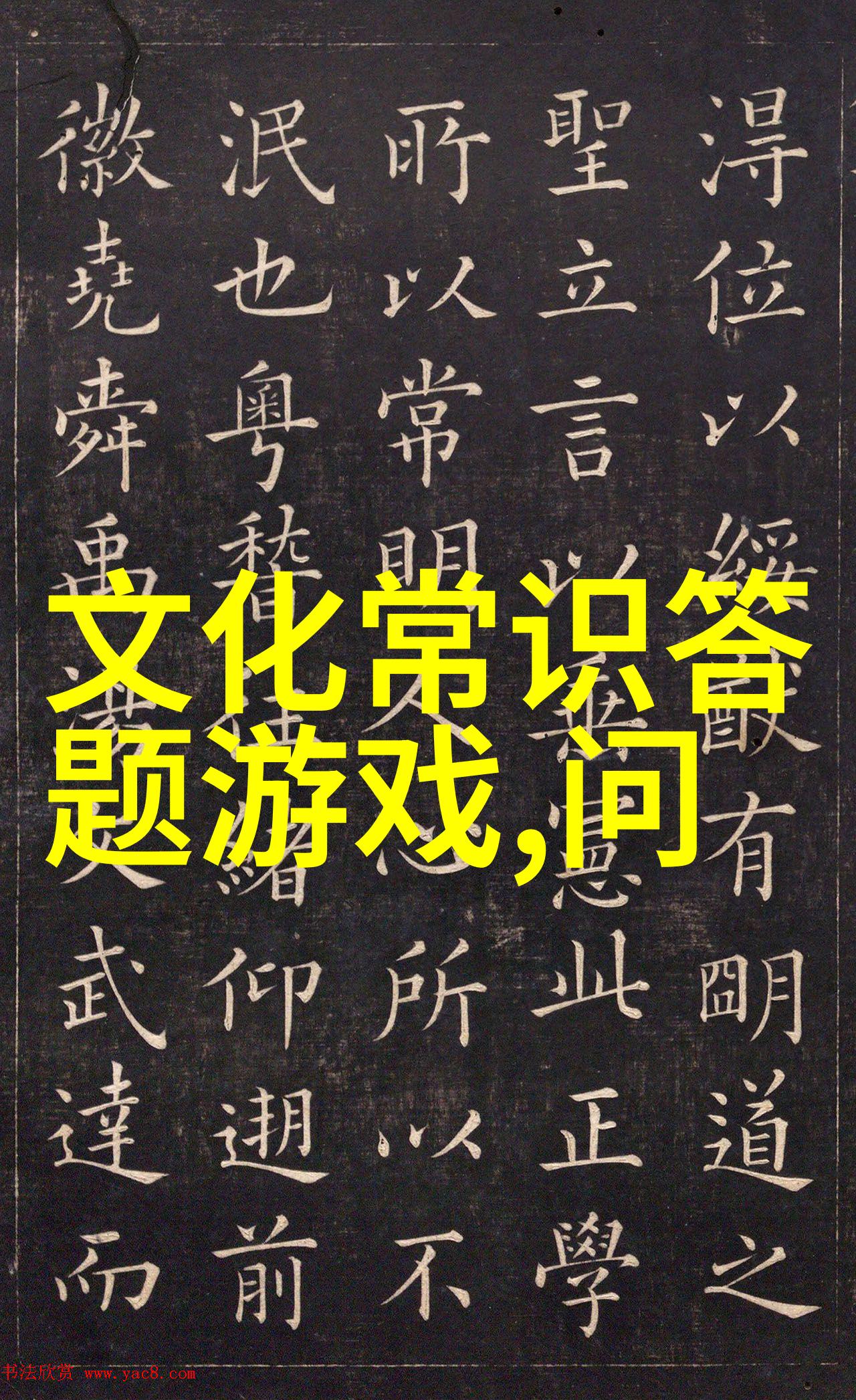 猫品种大全探索100种魅力四射的宠物朋友