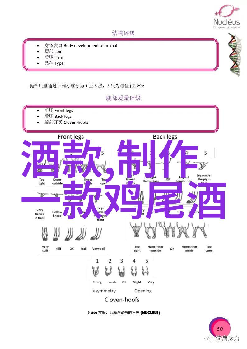 法国产量最大的葡萄酒产区2月24日盘点哪些葡萄牙品牌