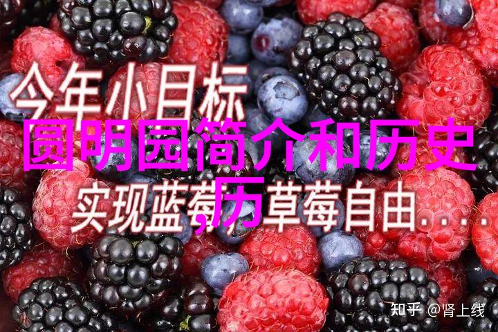 暴风雪过后黑龙江省政府有哪些计划去恢复公共服务和基础设施