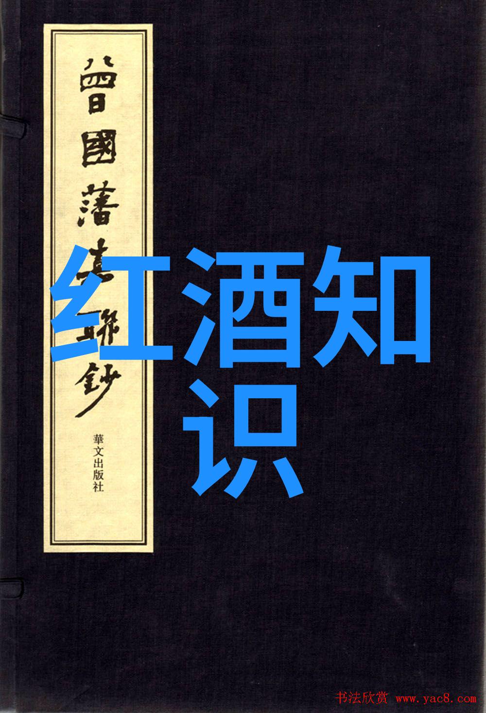 醉心酒香揭秘酒文化的无限魅力