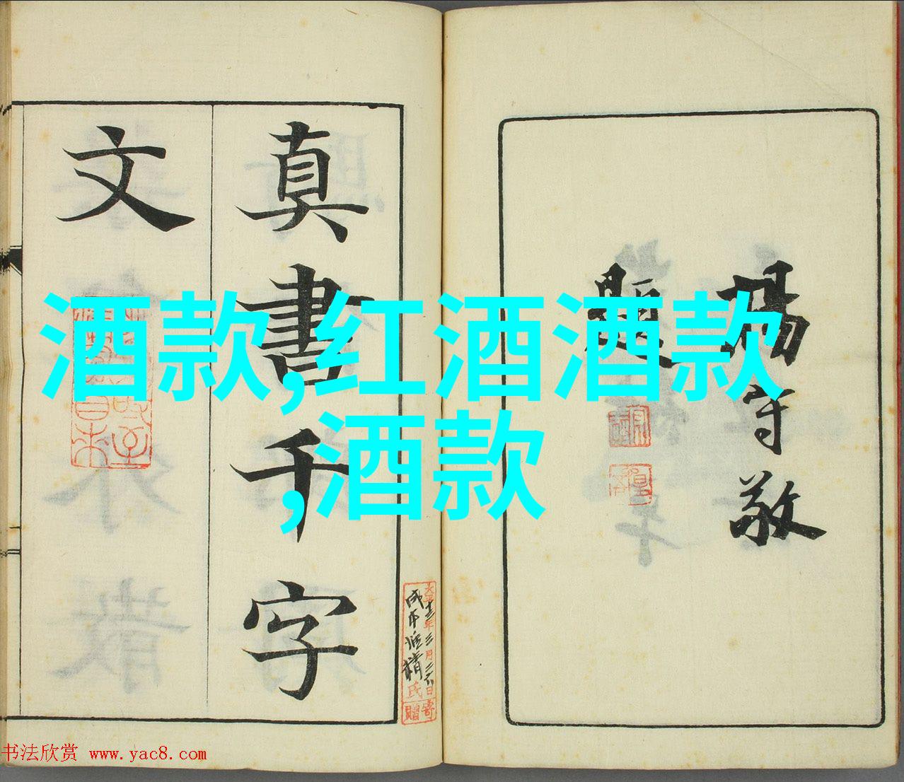 探秘藏身于网络深处的宝贵视频它们如何被收藏并影响着我们的生活