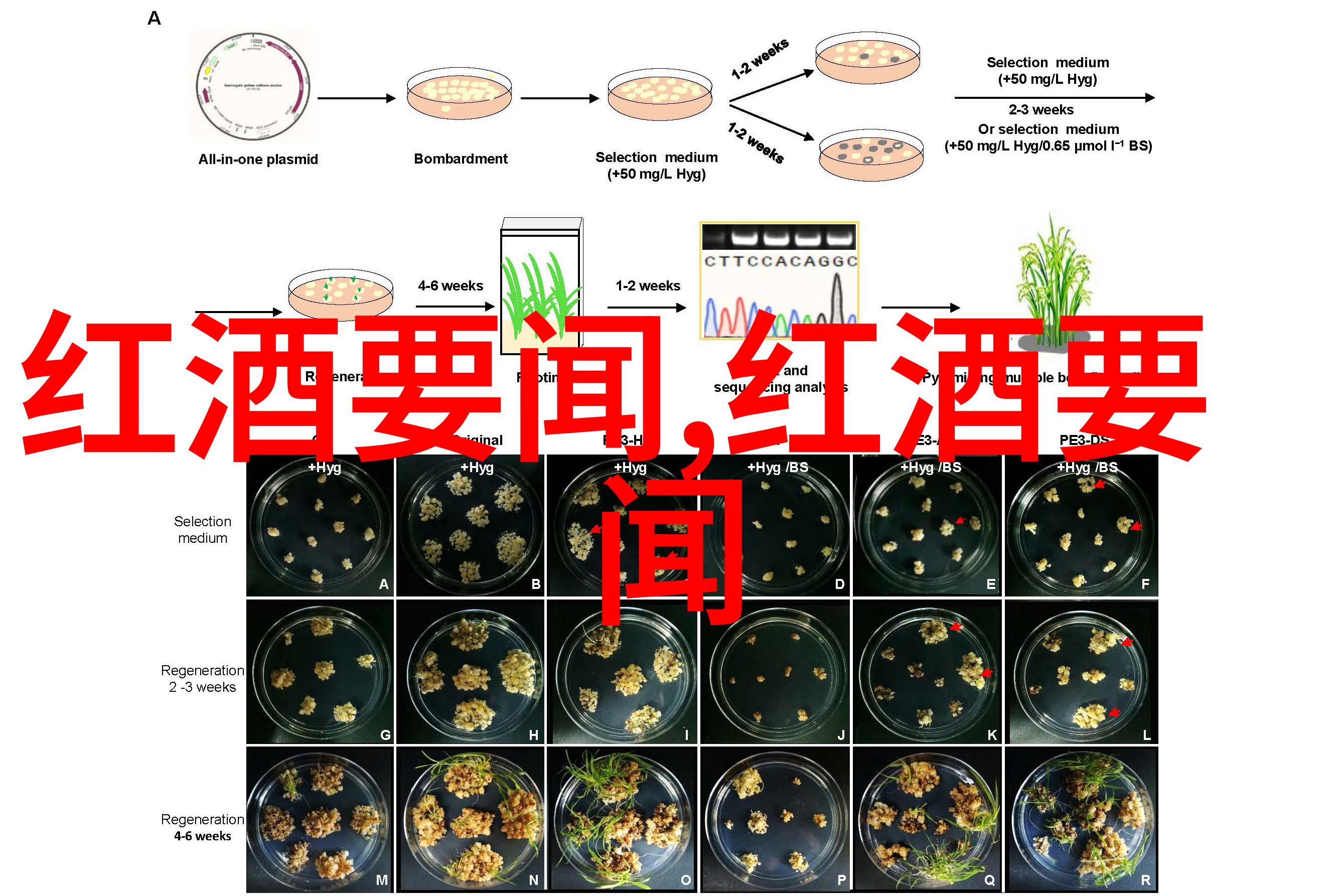 英雄的光辉10个改变世界的故事