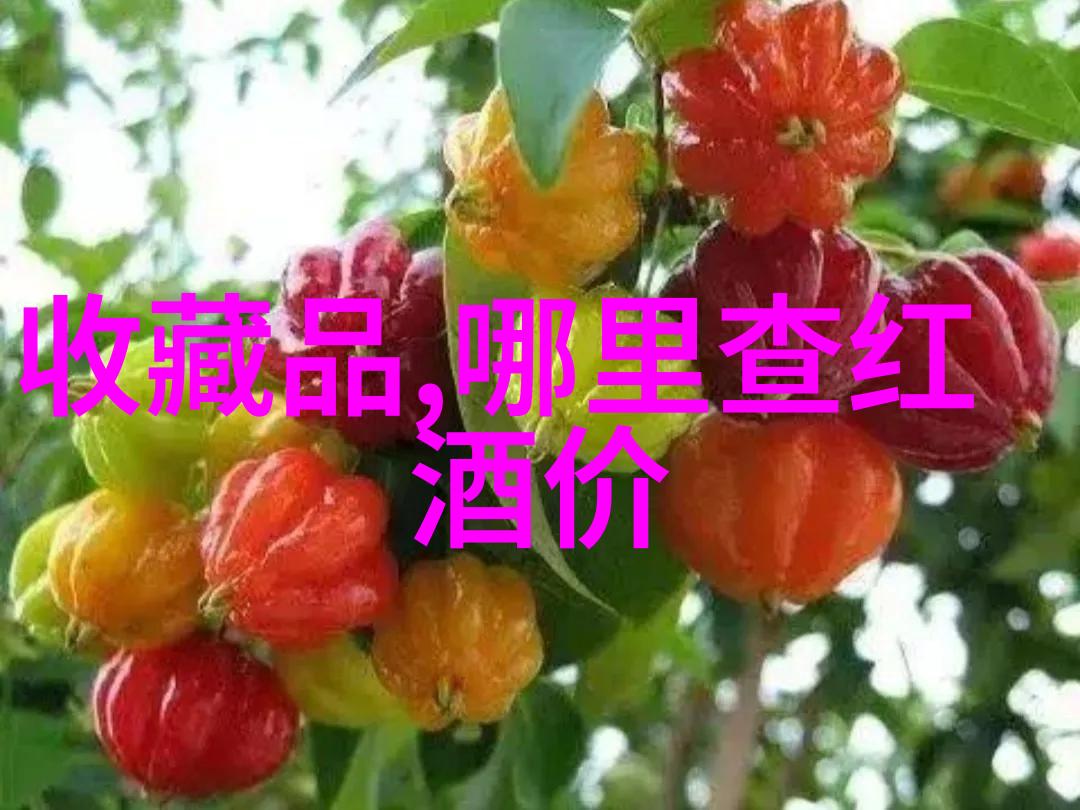 中国豪华庄园之旅探秘十大门票之谜