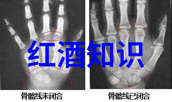 南澳中东部河地产区新世界葡萄酒的醉人起点