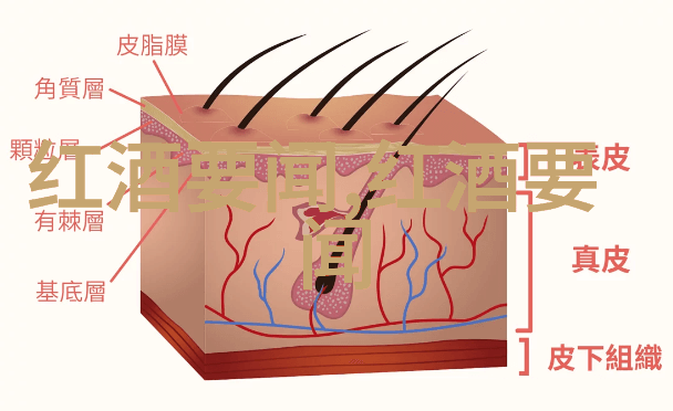 在纽约Decanter的神秘大师班等待着你揭秘收藏钱币市场的隐藏宝藏