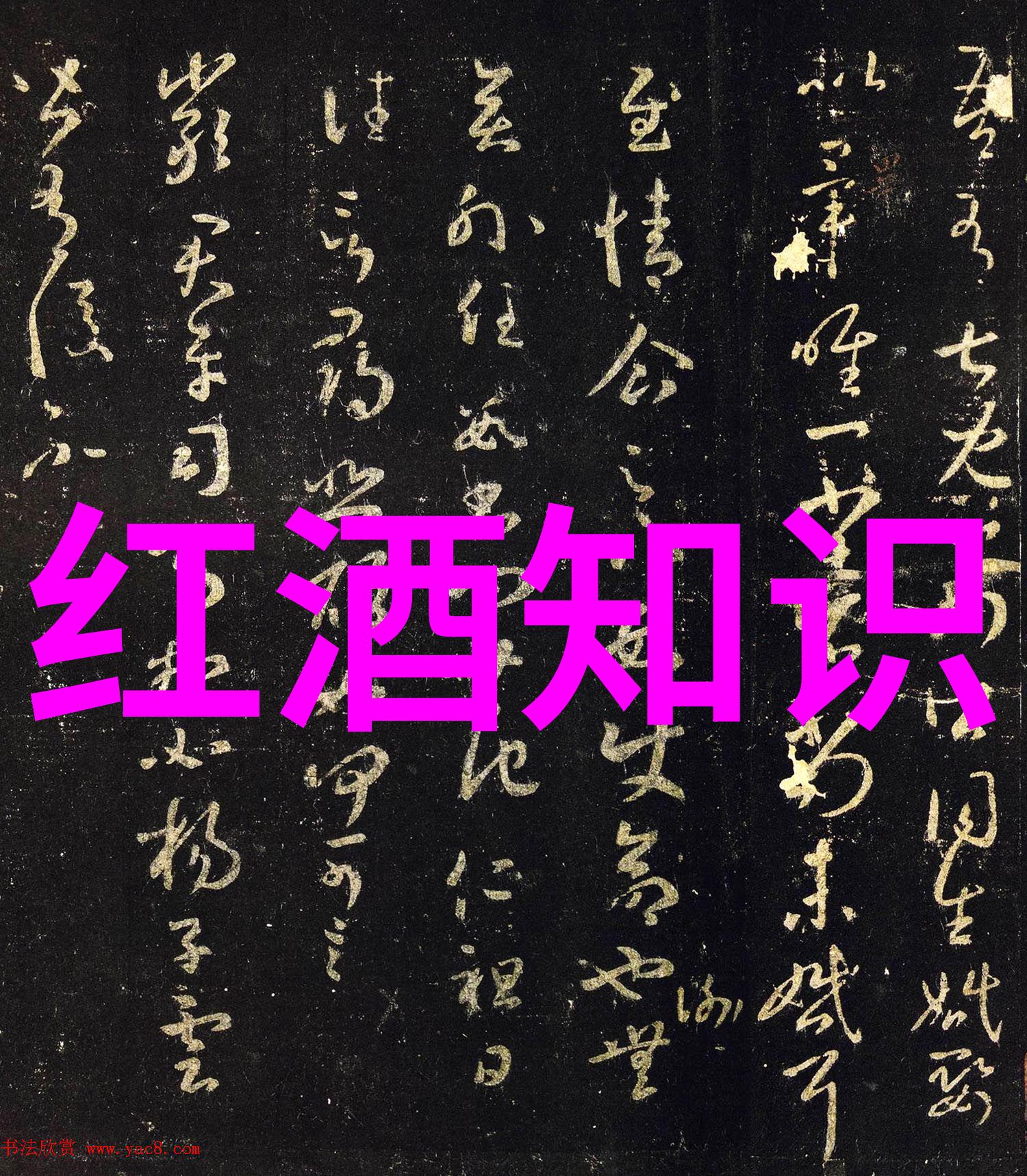 定投策略在长期投资中的应用效率分析以每月300元为例的三年回顾