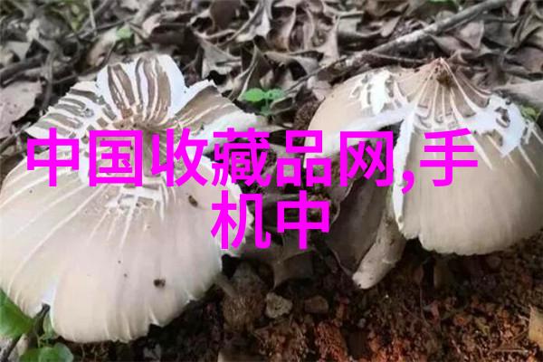 西湖之滨灵隐寺的古韵与杭州周边游记