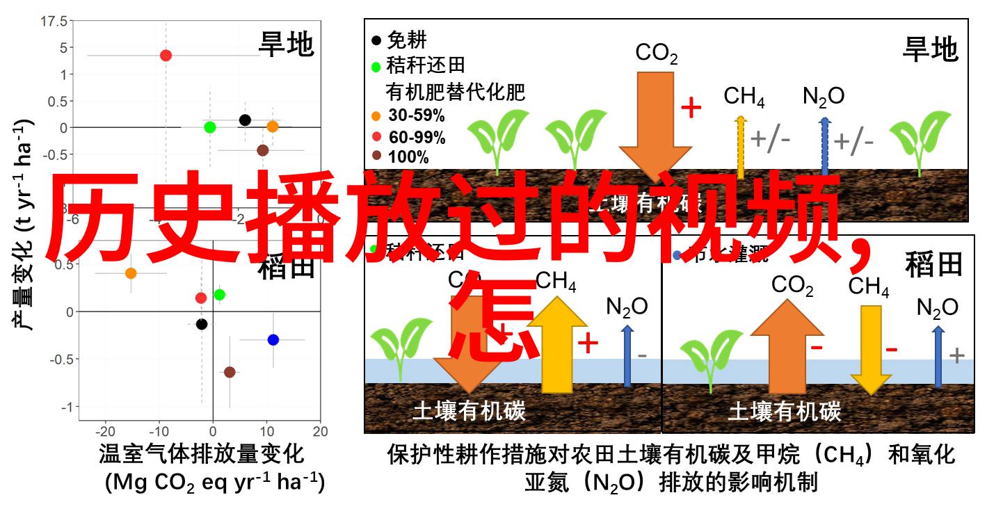 醉梦长安中国古代红酒的传说与幻影