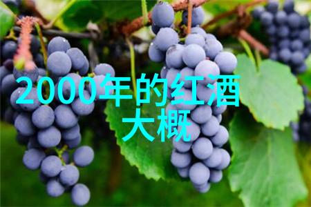 金帐汗酒内蒙古白酒文化的珍贵之选值得一试