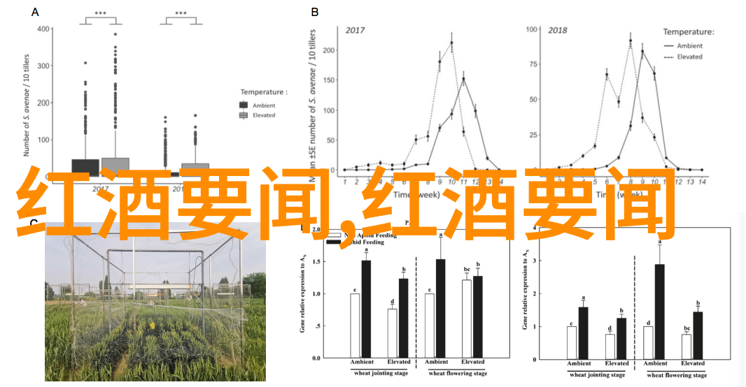 青梅煮酒何其醇厚青梅之香令人心旷神怡健康问医生免费咨询无忧