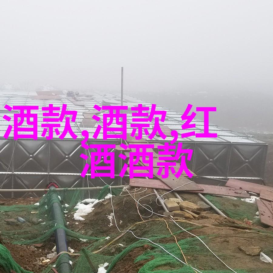 上海周边房地产市场动态分析深入剖析上海周边城市房价走势