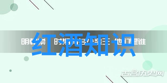 葡萄酒与梦想的醉人交响揭秘那些真实的收藏网站之谜