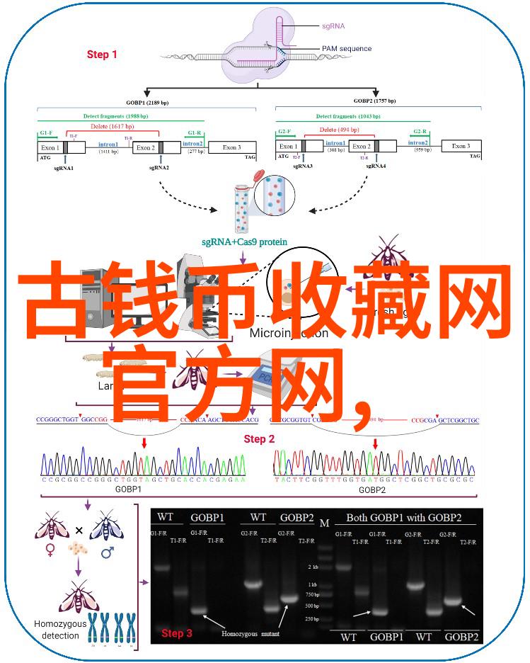 在创作一幅关于帅气男性侧脸画作时我应该考虑哪些细节来提高作品质量