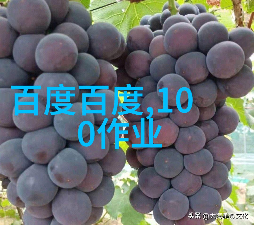 葡萄酒之星奖品鉴2022年最佳酿造收藏杂志仅需一本开启佳酿世界