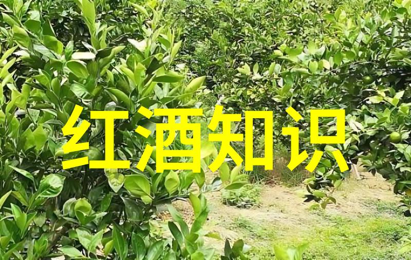 文物交易最新消息J Lohr感动生命倡议15周年之旅超额筹集100万美元点亮希望之光