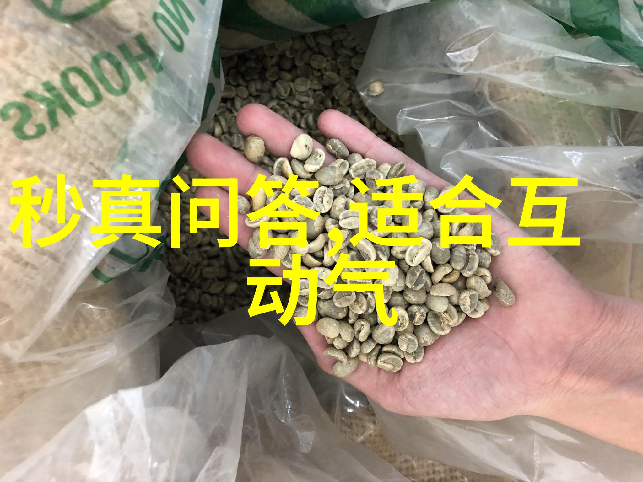 猫咪爱好者的心头宝全球十大宠儿价格排行榜