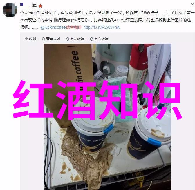 深入了解那些因为其独特风土气候而闻名遐迩的地理标志性葡萄园