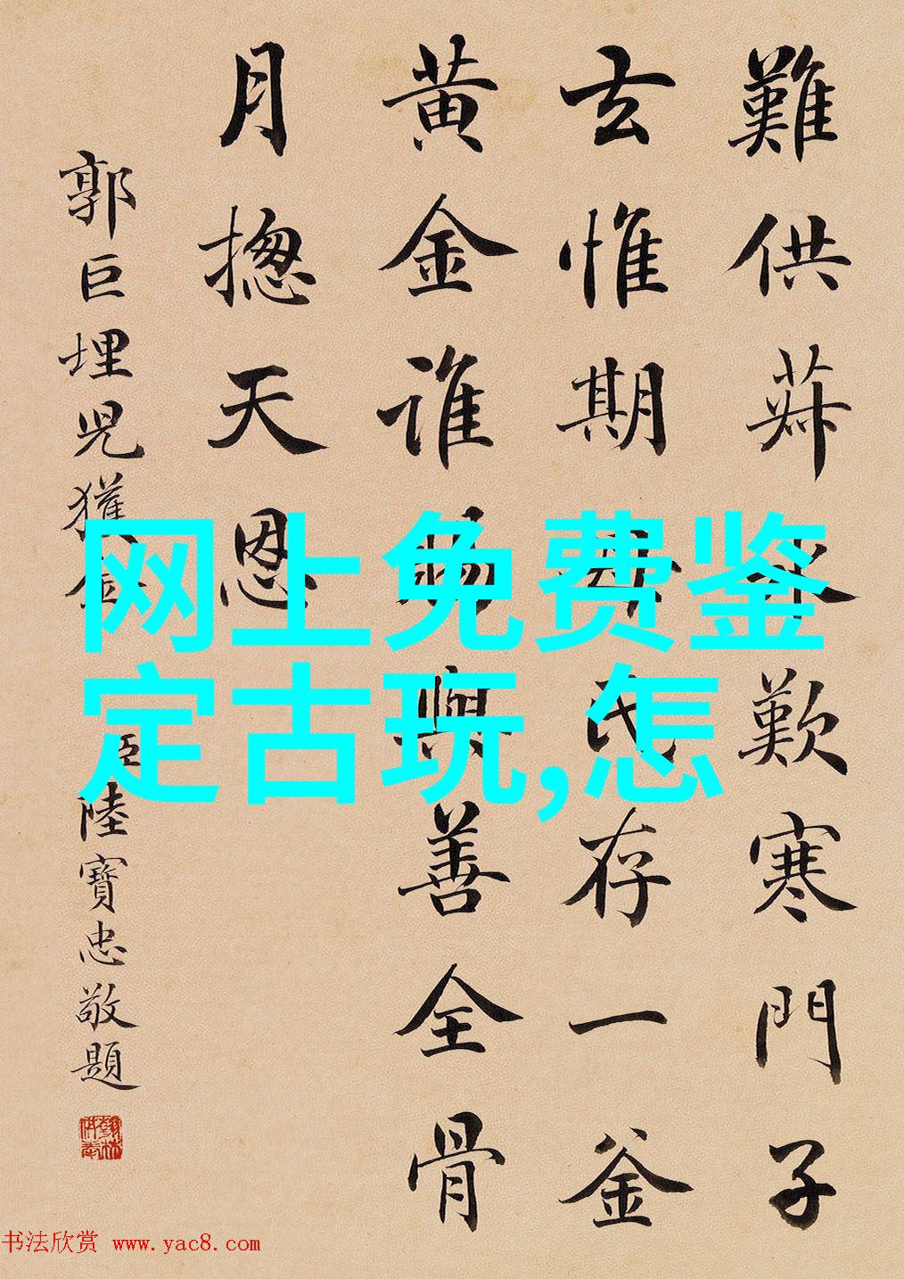 未知领域里的奥秘探索并了解南美亚马逊地区的一些稀有植物