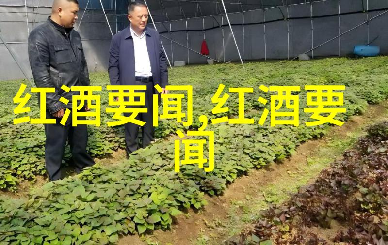 追溯中东纽带以色列与巴勒斯坦的历史渊源探究